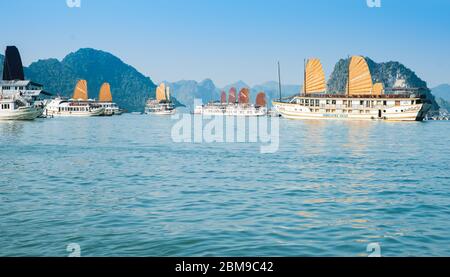Halong Bay Vietnam - Oktober 23 2013; Dschunken und Touristenboote in schönen dramatischen und ruhigen Morgenlicht beliebtes Reiseziel in Vietnam. Stockfoto