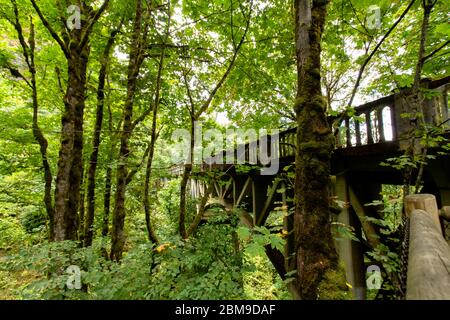 Alte Holzbrücke durch die Bäume der Cascade Mountains in Oregon, USA. Stockfoto