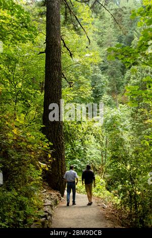 Zwei Männer, die nebeneinander auf einem Weg im Wald der Cascade Mountains in Oregon, USA, spazieren. Stockfoto