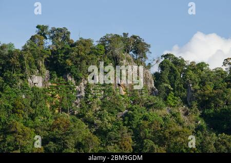 Hügel immer grünen Wald und bluein thailand Stockfoto