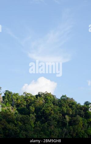 Hügel immer grünen Wald und bluein thailand Stockfoto