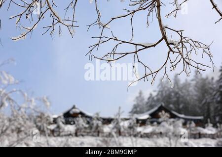 Schöne Winterlandschaft in Korea Stockfoto