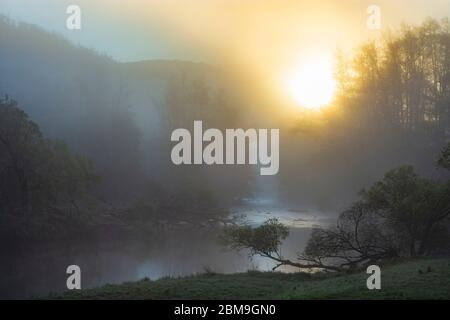 Hardegg: Fluss Thaya am Morgen, Nebel, Sonne durchzieht, Blick auf die Burgruine Neuhäusl, Thaya River National Park Thayatal - Podyji, im Weinviertel, Stockfoto