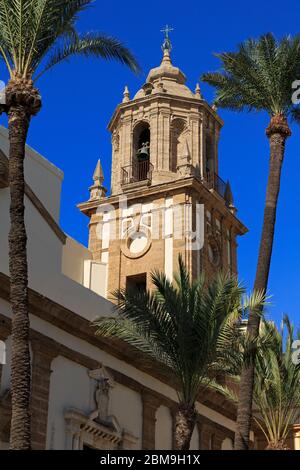 Santiago Kirche in Cathedral Plaza, Cadiz City, Andalusien, Spanien, Europa Stockfoto