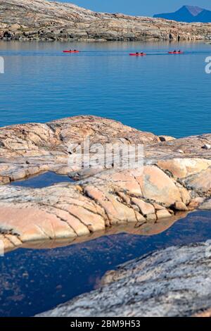 Kajak in Scoresby Sund, der weltweit größten Fjord Stockfoto