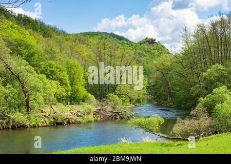 Hardegg: Thaya, Blick auf die Burgruine Neuhäusl, Thaya River National Park Thayatal - Podyji, im Weinviertel, Niederösterreich, Niederösterreich, Aust Stockfoto