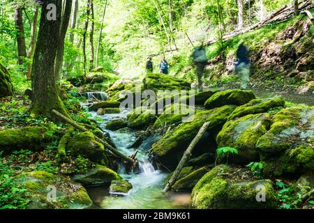 Hardegg: Bach Kajabach, Wanderer, Thaya River National Park Thayatal - Podyji, in Weinviertel, Niederösterreich, Niederösterreich, Österreich Stockfoto