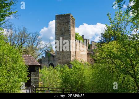 Hardegg: Kaja Castle, Thaya River National Park Thayatal - Podyji, in Weinviertel, Niederösterreich, Niederösterreich, Österreich Stockfoto