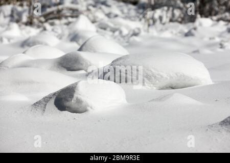 Schneebedeckter Bach. Odaesan Nationalpark, Gangwon-do, Korea Stockfoto