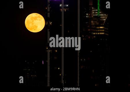 New York, Usa. Mai 2020. Super Flower Moon erhebt sich über Midtown Manhattan, wie man es von Weehawken aus New Jersey sieht. (Foto von Lev Radin/Pacific Press) Quelle: Pacific Press Agency/Alamy Live News Stockfoto