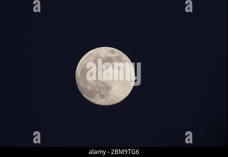 Der prächtige Blumenmond vom Mai 2020 von der Hertford, UK. Stockfoto