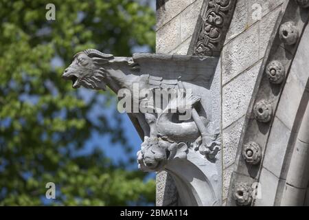 Steinskulpturen an der St Fin Barres Cathedral Cork Stockfoto