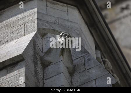 Steinarbeiten an der St Fin Barres Cathedral Cork Stockfoto