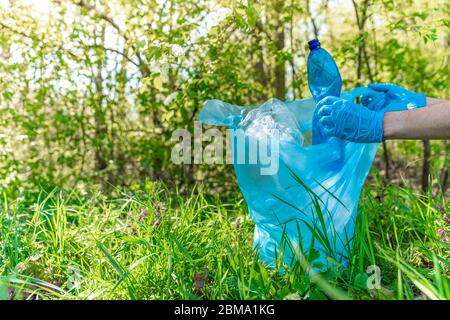 Der Freiwillige reinigt den Wald von Müll, schützt die Umwelt Stockfoto