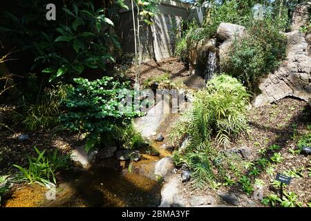 Natürlicher Felswasserfall im Regenwald Stockfoto