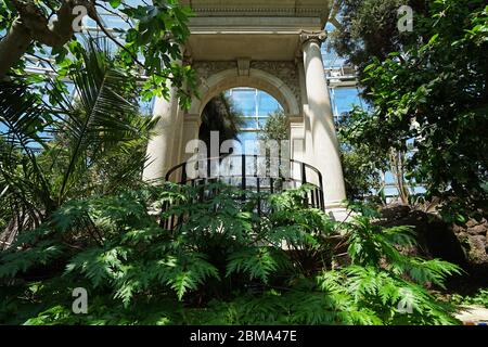 Pflanzengestaltung und Gebäudedekoration in der geodätischen Wintergartenkuppel von Climatron im BOTANISCHEN GARTEN von Missouri - Saint Louis, MO Stockfoto