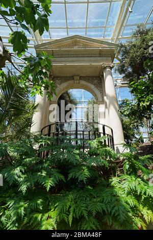 Pflanzengestaltung und Gebäudedekoration in der geodätischen Wintergartenkuppel von Climatron im BOTANISCHEN GARTEN von Missouri - Saint Louis, MO Stockfoto