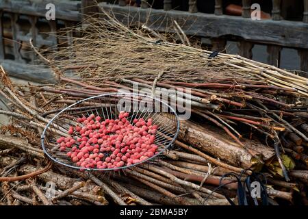 Litschi Früchte trocknen auf Brennholz im chinesischen Dorf. Stockfoto
