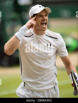 5. Juli 2016, Wimbledon Championships London. Andy Murray ruft während seines Mens Singles Quarter Finales gegen Jo Wilfred Tsoga auf dem Center Court. Stockfoto