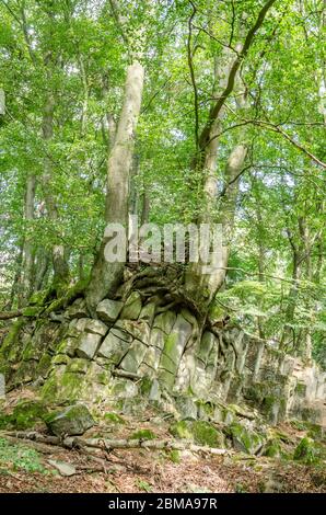 Basaltkrater Blauer Stein, Basaltkrater Felsformationen in einem Wald im Westerwald in Rheinland-Pfalz, Deutschland, Westeuropa Stockfoto