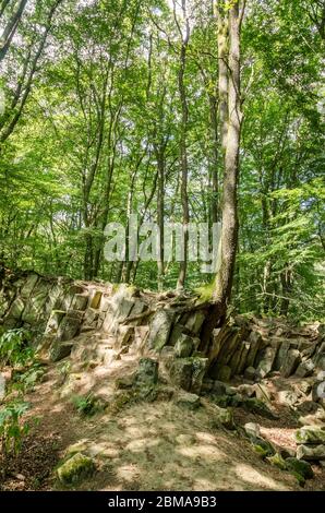 Basaltkrater Blauer Stein, Basaltkrater Felsformationen in einem Wald im Westerwald in Rheinland-Pfalz, Deutschland, Westeuropa Stockfoto