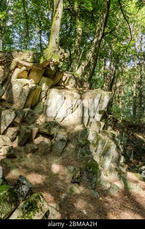 Basaltkrater Blauer Stein, Basaltkrater Felsformationen in einem Wald im Westerwald in Rheinland-Pfalz, Deutschland, Westeuropa Stockfoto