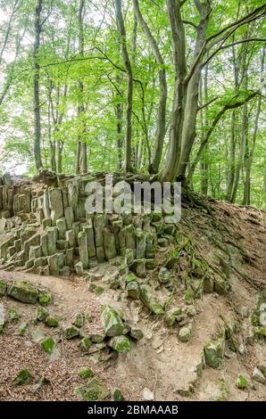 Basaltkrater Blauer Stein, Basaltkrater Felsformationen in einem Wald im Westerwald in Rheinland-Pfalz, Deutschland, Westeuropa Stockfoto