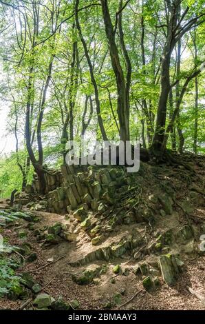 Basaltkrater Blauer Stein, Basaltkrater Felsformationen in einem Wald im Westerwald in Rheinland-Pfalz, Deutschland, Westeuropa Stockfoto