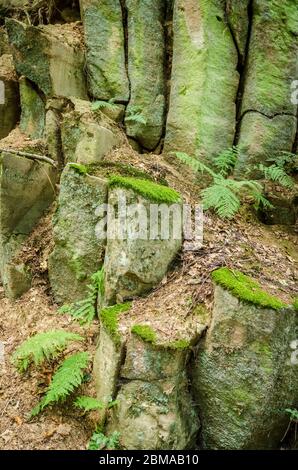 Basaltkrater Blauer Stein, Basaltkrater Felsformationen in einem Wald im Westerwald in Rheinland-Pfalz, Deutschland, Westeuropa Stockfoto