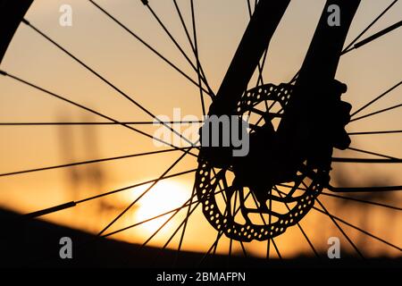 Profil eines Fahrradrades mit Scheibenbremsen bei Sonnenuntergang. Stockfoto