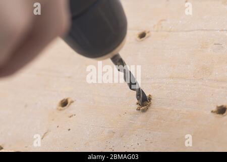 Wildbiene Nisthilfe aus Schlamm, Bohren von Löchern, Serienbild 5/5 Stockfoto