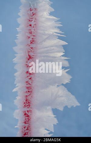Schneekristalle auf rotem Pfosten, Norwegen, Troms Stockfoto