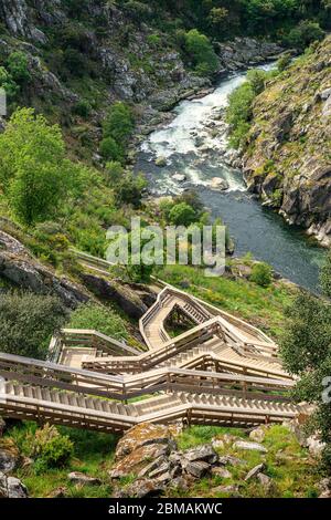 Arouca, Portugal - 28. April 2019: Landschaft der Paiva-Gehwege, mit einer gewundenen Treppe im Vordergrund und dem Paiva-Fluss mit seinen Stromschnellen Stockfoto