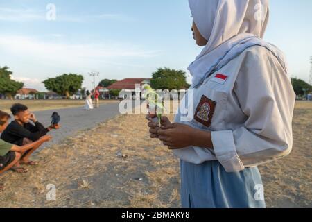 Yogyakarta, Indonesien - 16. Juli 2019: Ein junges Mädchen beobachtet eine Gruppe von Jungen, wie ihr Sittich auf der Esplanade Alun Utara in Yo an den Händen spielt Stockfoto