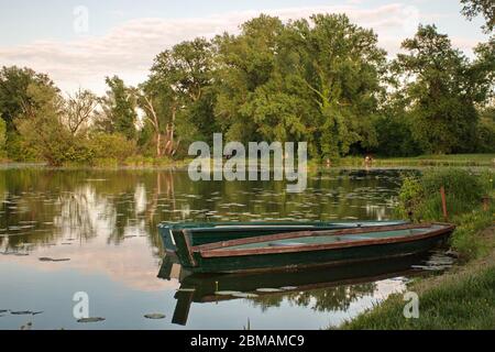 Naturgebiet mit mehreren Seen entlang der Sava in Kroatien. Holzboot und Bäume spiegeln sich im Wasser Stockfoto