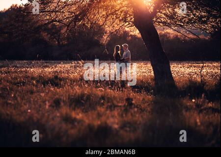 Verliebte Paare in schönem Sonnenuntergang Licht auf Frühlingswiese voller Löwenzahn unter Blüte Apfelbaum stehen Stockfoto