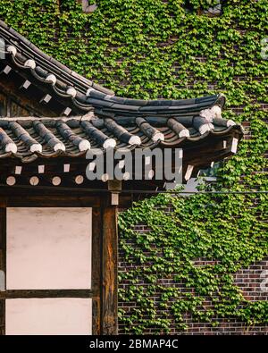 Hwaseong Festung, Südkorea - 07. MAI 2020: Hwaseong Festung ist in Suwon, südlich von Seoul. Stockfoto