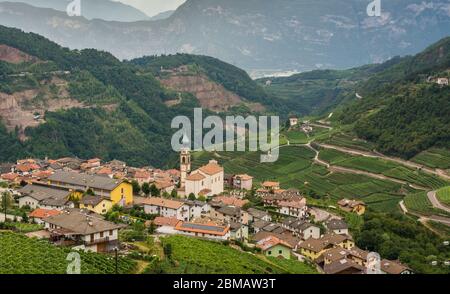 Landschaft des Cembra-Tals: Weinberge umgeben das Dorf Cembra, Valle di Cembra, Trentino Alto Adige, Norditalien Stockfoto