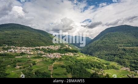 Landschaft des Cembra-Tals: Weinberge umgeben das Dorf Cembra, Valle di Cembra, Trentino Alto Adige, Norditalien Stockfoto