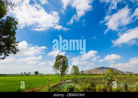 Landschaft von der Spitze des heiligen Sam Berg (Ba Chua Xu Tempel) im Herzen des Mekong Delta, Vietnam. Blick auf vietnamesische Reisfelder und Kambodscha Stockfoto