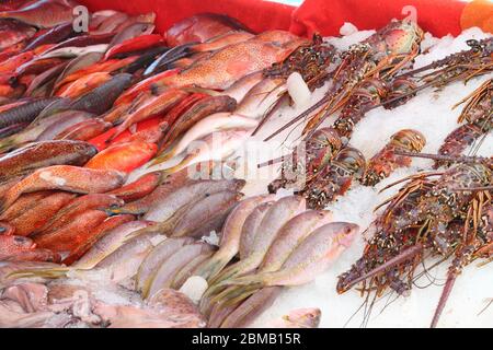 Fischmarkt in Guadeloupe in Pointe a Pitre, der größten Stadt von Guadeloupe. Rote Schnapper, Brassen und langouste (Langusten). Stockfoto