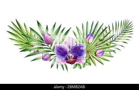 Aquarell Orchidee Bogen. Große lila Blüten, Äste, Palmblätter. Handgemalte florale tropischen Hintergrund. Botanische Illustrationen isoliert auf weiß Stockfoto