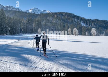 Langlaufen in Leogang, Tirol, Alpen, Österreich Stockfoto