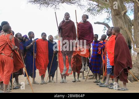 Stammestanz bei einer Maasai-Zeremonie Maasai ist eine ethnische Gruppe von halbnomadischen Menschen, die in Tansania fotografiert wurden Stockfoto