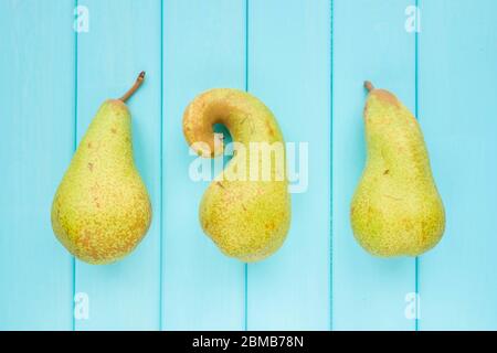 Konferenzbirnen liegen auf türkisfarbenem Hintergrund. Stockfoto