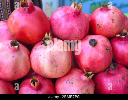 Granatapfel-Obststapel auf der Theke oben zum Verkauf während des Lebensmittelmarkt Festival Stockfoto