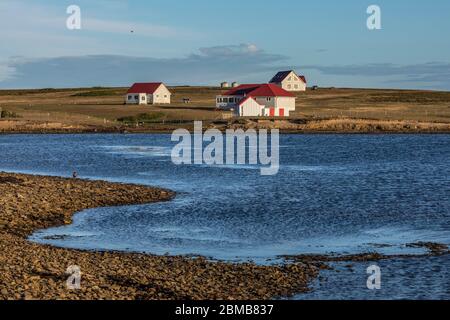 Lodge; Bleaker Island; Falklands; Stockfoto