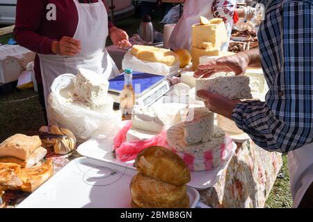 Ein Stück Käse mit Dill und Gewürzen, zum Verkauf auf der Theke, während des Food Festivals. Traditionelle Milchprodukte aus frischen Kuh oder Ziege mi Stockfoto