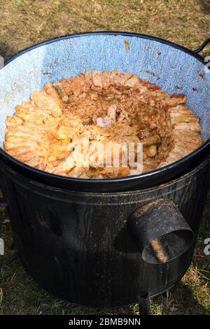 Rumänisches typisches Essen namens Sarmale. Kohlbrötchen mit Fleisch, Reis und Gemüse. Gefüllte Kohlblätter gefülltes Fleisch in einem traditionellen Topf. Ansicht von Stockfoto