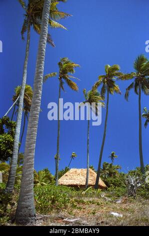 Bure, Tavarua Island, Mamanuca-Gruppe, Fidschi Stockfoto
